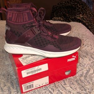 Puma Ignite 3 evoknit wine purple